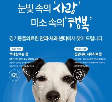 경기동물의료원과 함께하는 강아지, 고양이 …