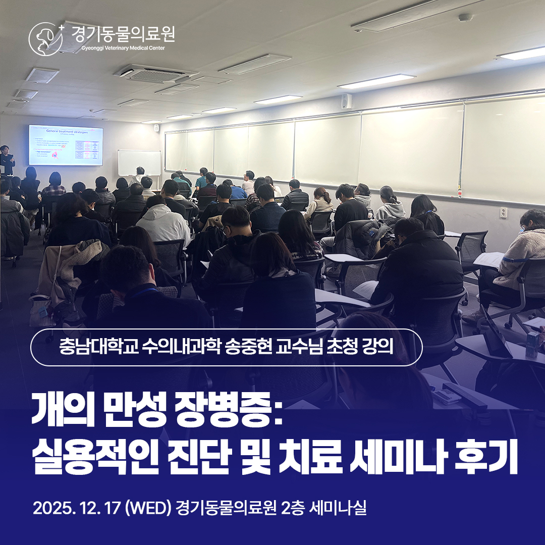 0534053f22a47f41bf340df5bfc4e00c_1766073711_2874.jpg 0534053f22a47f41bf340df5bfc4e00c_1766073711_2874.jpg