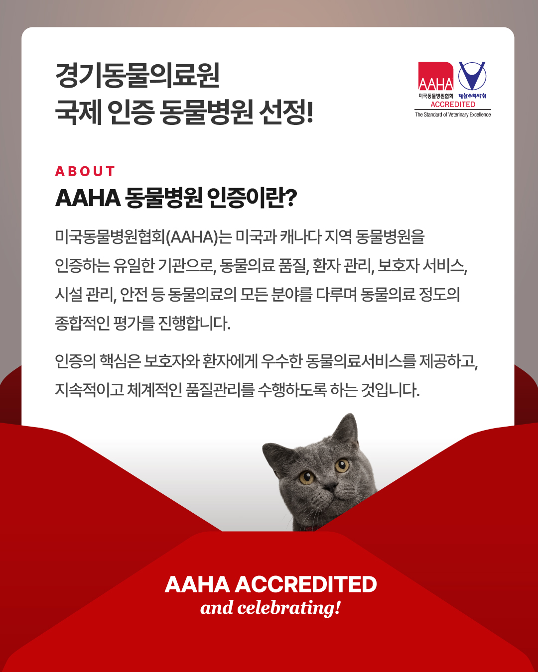 cc6e33bec771d27bbaeb2d9872633913_1765598933_2608.jpg cc6e33bec771d27bbaeb2d9872633913_1765598933_2608.jpg