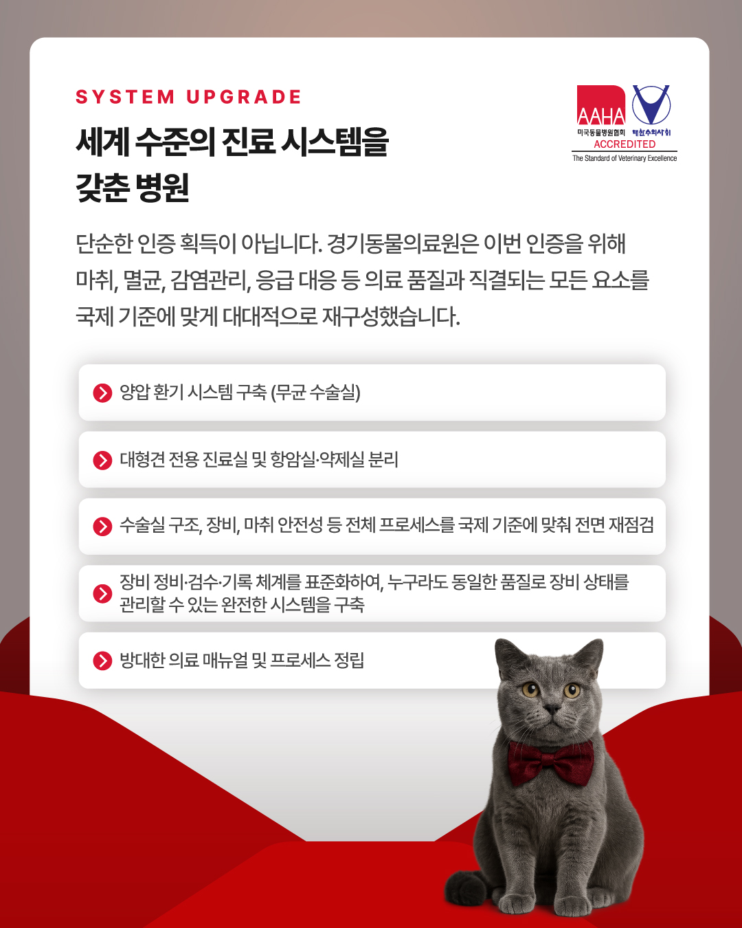 cc6e33bec771d27bbaeb2d9872633913_1765598933_6031.jpg cc6e33bec771d27bbaeb2d9872633913_1765598933_6031.jpg