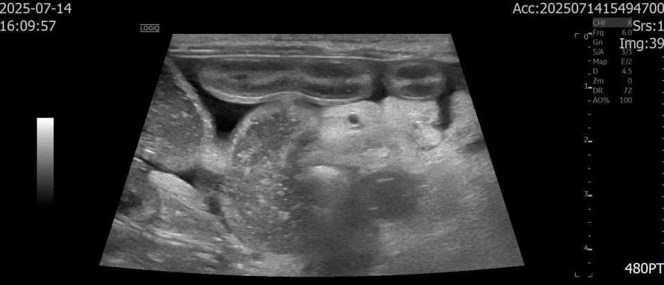 ef42058414de4d4cd3153ce373c8328b_1766589181_5359.png ef42058414de4d4cd3153ce373c8328b_1766589181_5359.png