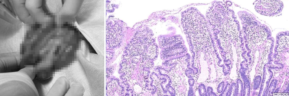 ef42058414de4d4cd3153ce373c8328b_1766589241_8092.png ef42058414de4d4cd3153ce373c8328b_1766589241_8092.png