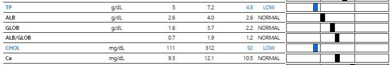 ef42058414de4d4cd3153ce373c8328b_1766589330_323.jpg ef42058414de4d4cd3153ce373c8328b_1766589330_323.jpg
