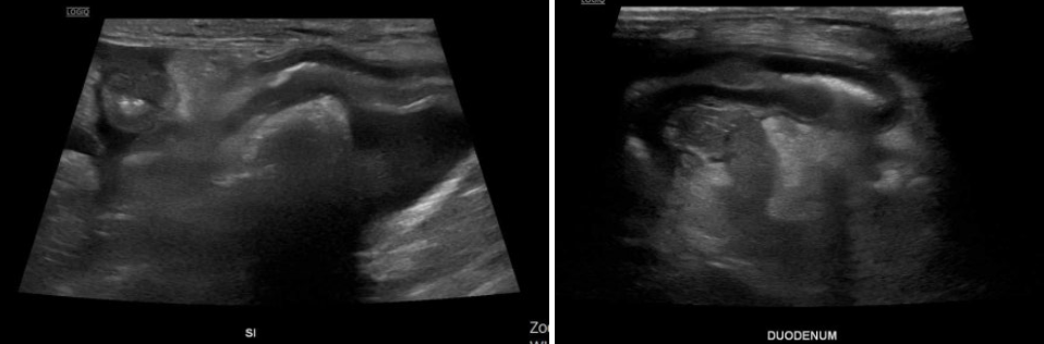 ef42058414de4d4cd3153ce373c8328b_1766589358_129.png ef42058414de4d4cd3153ce373c8328b_1766589358_129.png