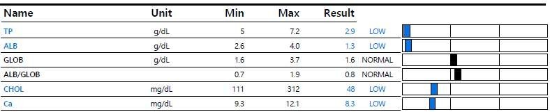 ef42058414de4d4cd3153ce373c8328b_1766589414_7454.jpg ef42058414de4d4cd3153ce373c8328b_1766589414_7454.jpg