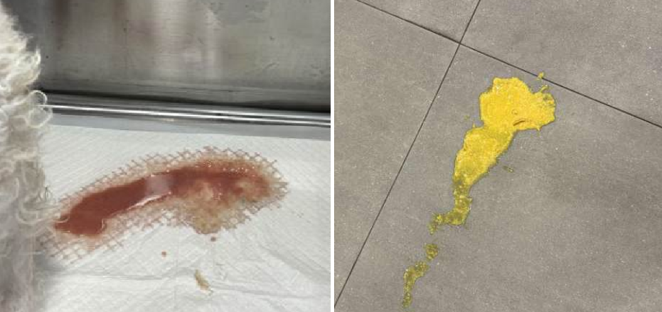 ef42058414de4d4cd3153ce373c8328b_1766589438_7522.png ef42058414de4d4cd3153ce373c8328b_1766589438_7522.png