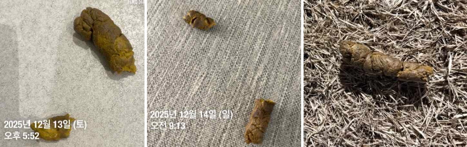 ef42058414de4d4cd3153ce373c8328b_1766589536_9877.png ef42058414de4d4cd3153ce373c8328b_1766589536_9877.png