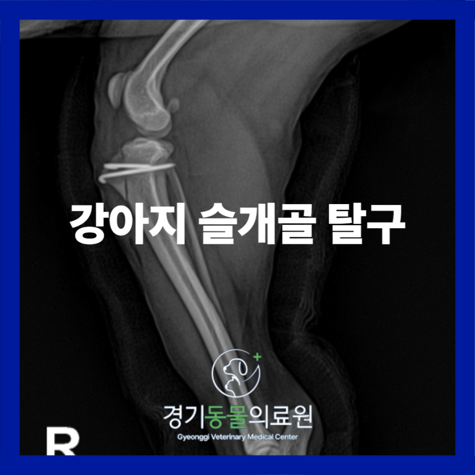 5daa733e9454252fc6d7196290fcce68_1769513860_2451.png 5daa733e9454252fc6d7196290fcce68_1769513860_2451.png