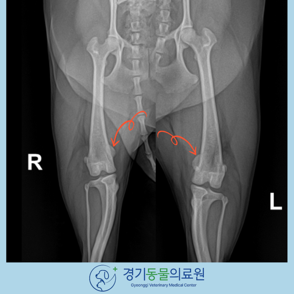 5daa733e9454252fc6d7196290fcce68_1769514028_7631.png 5daa733e9454252fc6d7196290fcce68_1769514028_7631.png