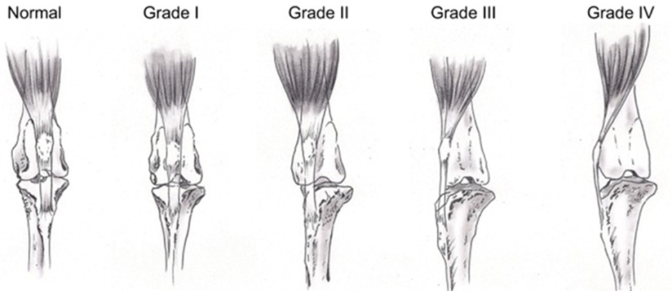 5daa733e9454252fc6d7196290fcce68_1769514060_0782.png 5daa733e9454252fc6d7196290fcce68_1769514060_0782.png