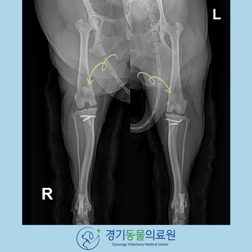 5daa733e9454252fc6d7196290fcce68_1769514128_5051.png 5daa733e9454252fc6d7196290fcce68_1769514128_5051.png