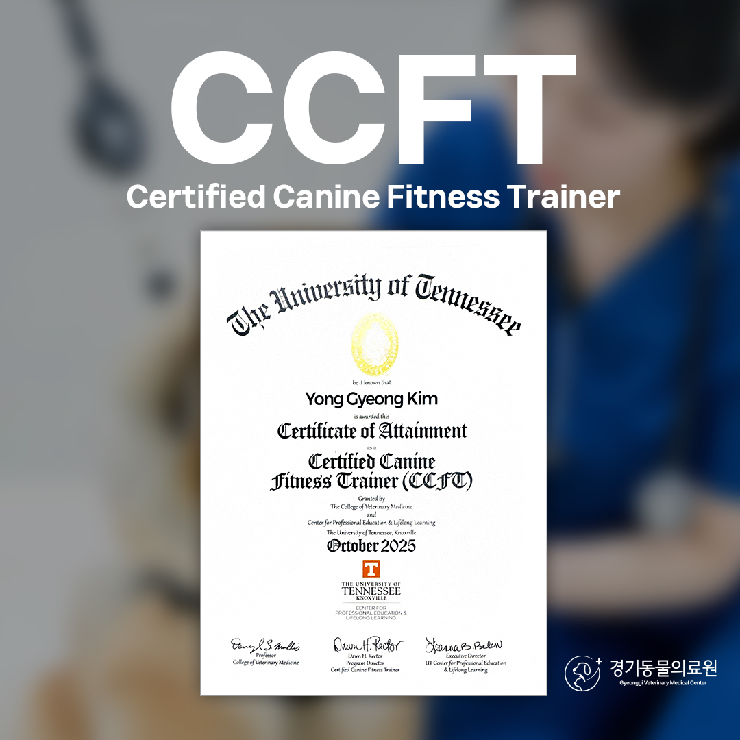 ca148619d9a633022deac20db230c172_1767661510_7455.jpg ca148619d9a633022deac20db230c172_1767661510_7455.jpg