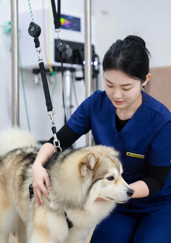 ca148619d9a633022deac20db230c172_1767661599_0761.png ca148619d9a633022deac20db230c172_1767661599_0761.png