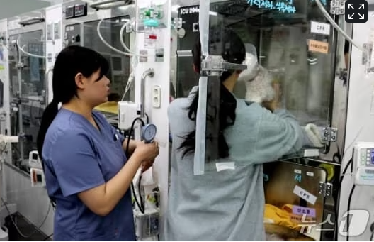 c29453d6520a56fd358f4d27fcb9ca75_1770079746_1916.png c29453d6520a56fd358f4d27fcb9ca75_1770079746_1916.png