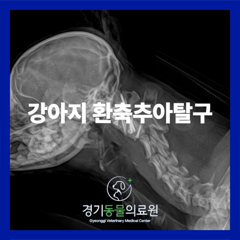 f145560b7e0f0bac7bbb285ed8ef4067_1771920141_078.png f145560b7e0f0bac7bbb285ed8ef4067_1771920141_078.png