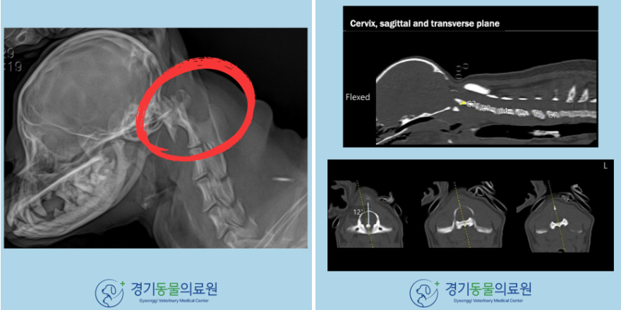 f145560b7e0f0bac7bbb285ed8ef4067_1771920160_965.png f145560b7e0f0bac7bbb285ed8ef4067_1771920160_965.png