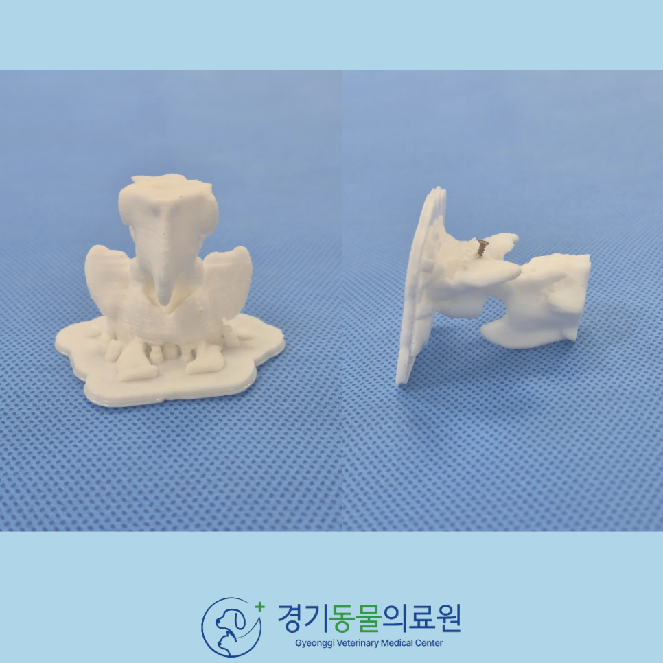 f145560b7e0f0bac7bbb285ed8ef4067_1771920172_1436.png f145560b7e0f0bac7bbb285ed8ef4067_1771920172_1436.png