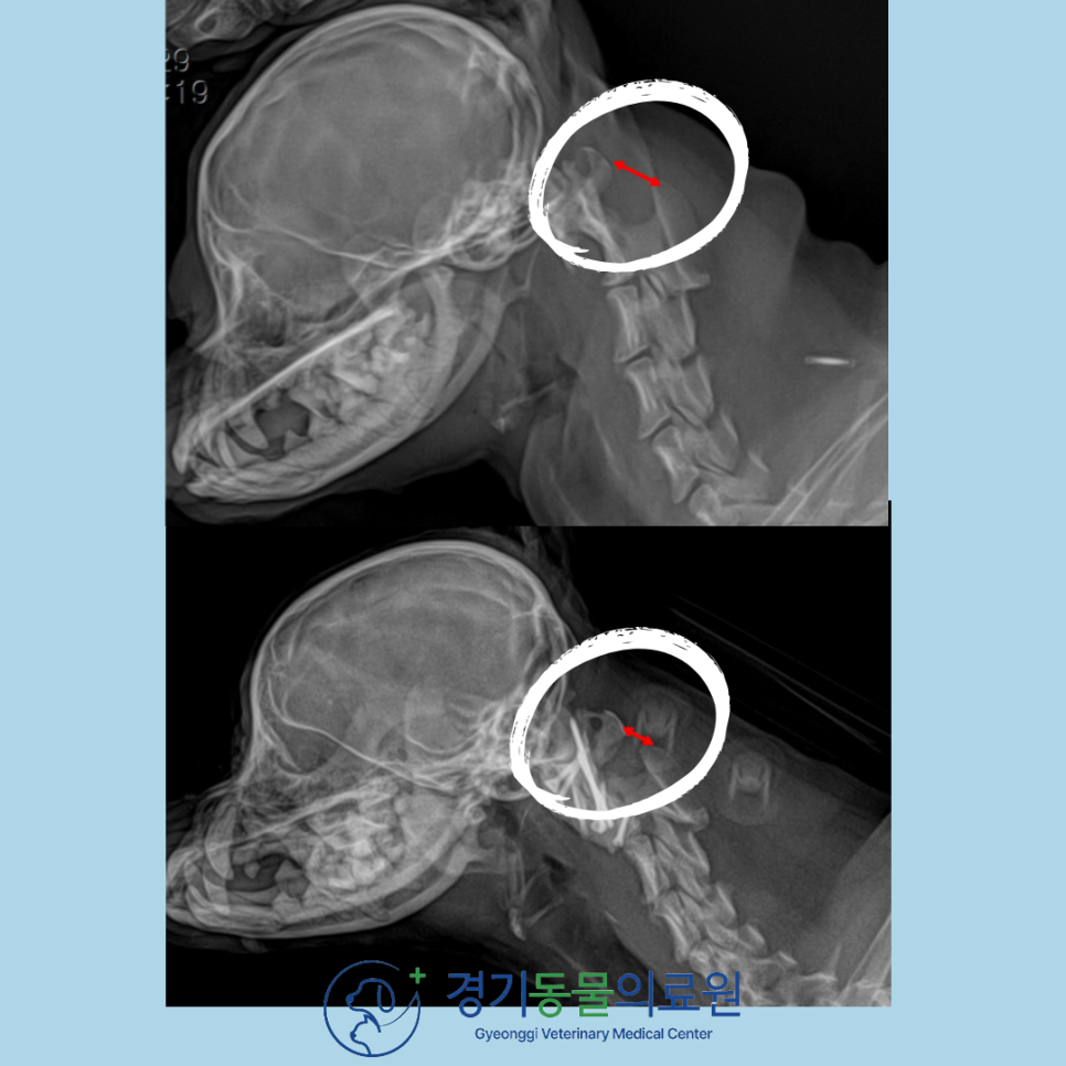 f145560b7e0f0bac7bbb285ed8ef4067_1771920187_6786.png f145560b7e0f0bac7bbb285ed8ef4067_1771920187_6786.png