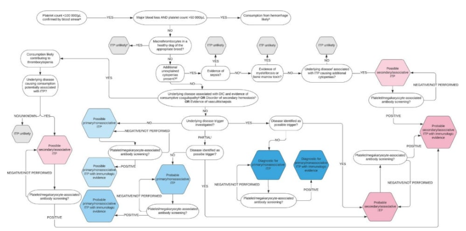 f145560b7e0f0bac7bbb285ed8ef4067_1771927829_6434.png f145560b7e0f0bac7bbb285ed8ef4067_1771927829_6434.png