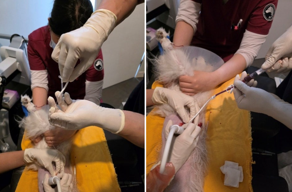 45dea41c691aea1975c51c7a51847d38_1775038397_276.png 45dea41c691aea1975c51c7a51847d38_1775038397_276.png