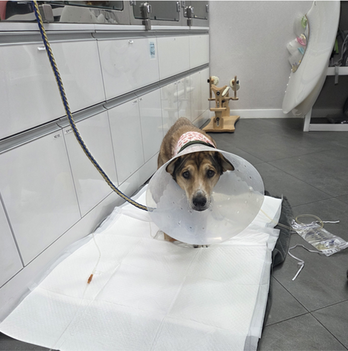 45dea41c691aea1975c51c7a51847d38_1775059707_8663.png 45dea41c691aea1975c51c7a51847d38_1775059707_8663.png