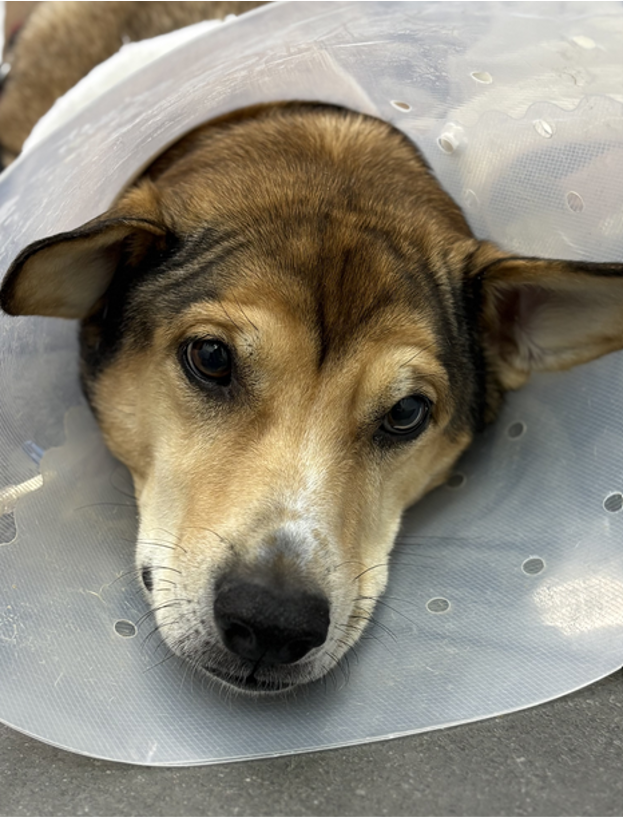 45dea41c691aea1975c51c7a51847d38_1775059749_8385.png 45dea41c691aea1975c51c7a51847d38_1775059749_8385.png