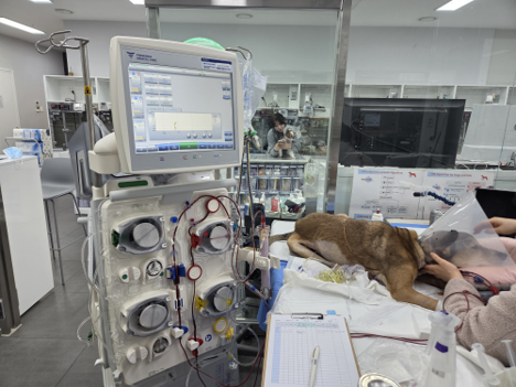 45dea41c691aea1975c51c7a51847d38_1775059778_3296.png 45dea41c691aea1975c51c7a51847d38_1775059778_3296.png