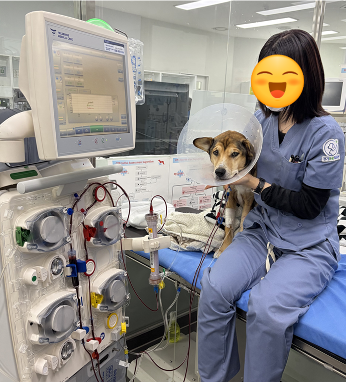 45dea41c691aea1975c51c7a51847d38_1775059921_8805.png 45dea41c691aea1975c51c7a51847d38_1775059921_8805.png