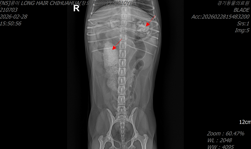 4ed7ffcb3254a6d818198411f32aefd0_1775514497_304.png 4ed7ffcb3254a6d818198411f32aefd0_1775514497_304.png