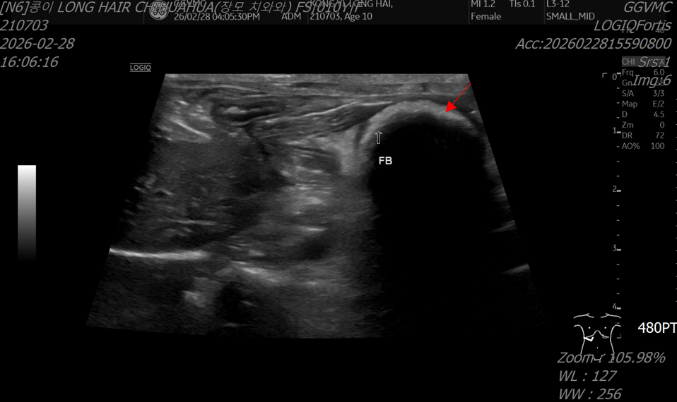 4ed7ffcb3254a6d818198411f32aefd0_1775514518_4117.png 4ed7ffcb3254a6d818198411f32aefd0_1775514518_4117.png