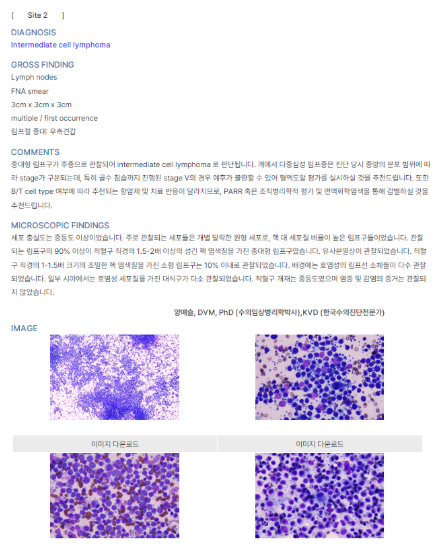 513d6981f78c0fdc5b1d228fb259bbc1_1777375963_4612.png 513d6981f78c0fdc5b1d228fb259bbc1_1777375963_4612.png