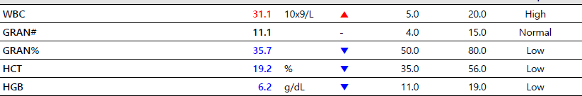 513d6981f78c0fdc5b1d228fb259bbc1_1777376286_8742.png 513d6981f78c0fdc5b1d228fb259bbc1_1777376286_8742.png