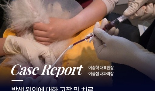 췌장염이 만든 간 농양 발생 원인…