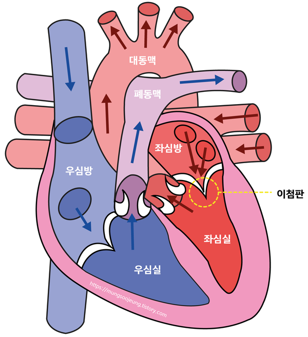 5282fc3e4a5fc6476c9bd71dc5b53ccc_1777632970_1967.png