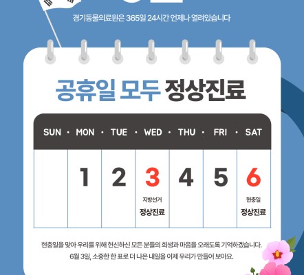 '6월 공휴일' 모두 '정상진료' 합니다.