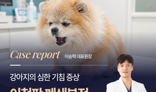 강아지 기침 원인, 기관허탈과 심…