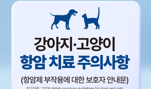 항암 치료 시 주의사항 안내!