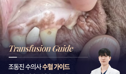 강아지·고양이 수혈 가이드: 빈혈…