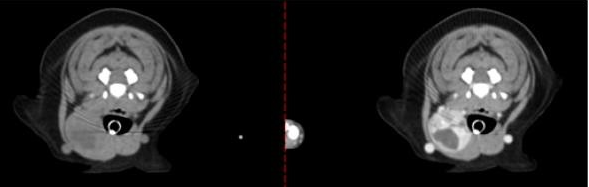 50f4fafad45434e070f4192d67dcf6b0_1781244704_176.png 50f4fafad45434e070f4192d67dcf6b0_1781244704_176.png