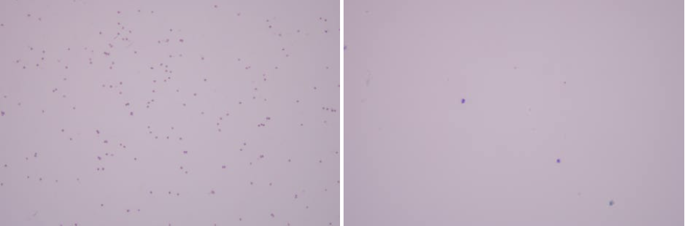 50f4fafad45434e070f4192d67dcf6b0_1781246384_2881.png 50f4fafad45434e070f4192d67dcf6b0_1781246384_2881.png