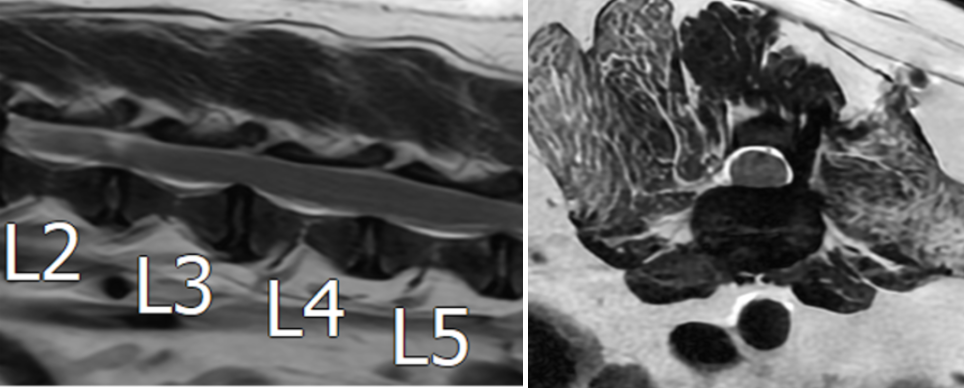 b53747087c2df9f0e3d1583aa2e14c6a_1783580503_2395.png