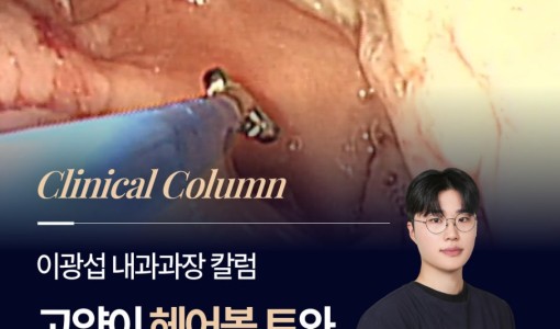 고양이 헤어볼 토와 변비 뒤에 숨…