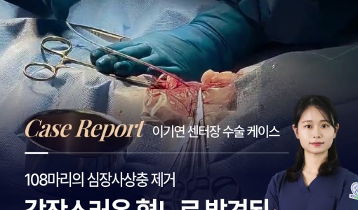 갑작스러운 혈뇨로 발견된 강아지 …