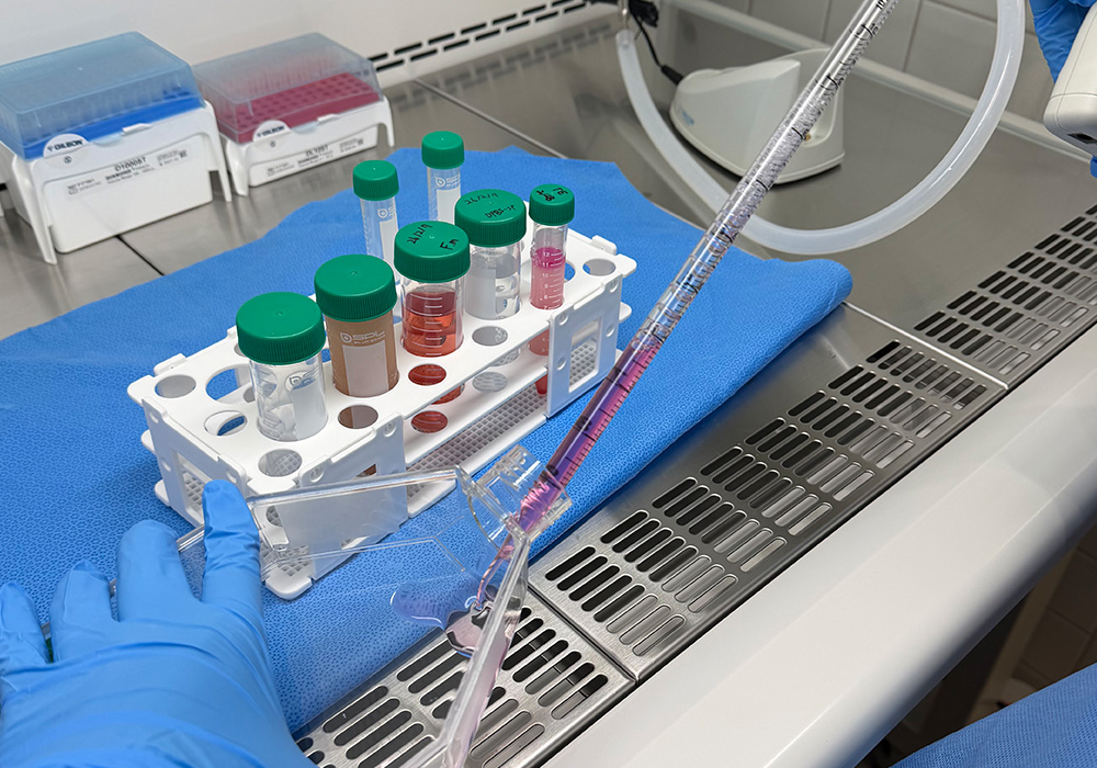 줄기세포 배양실 6